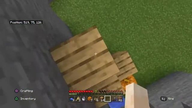 The new me (Minecraft survival)
