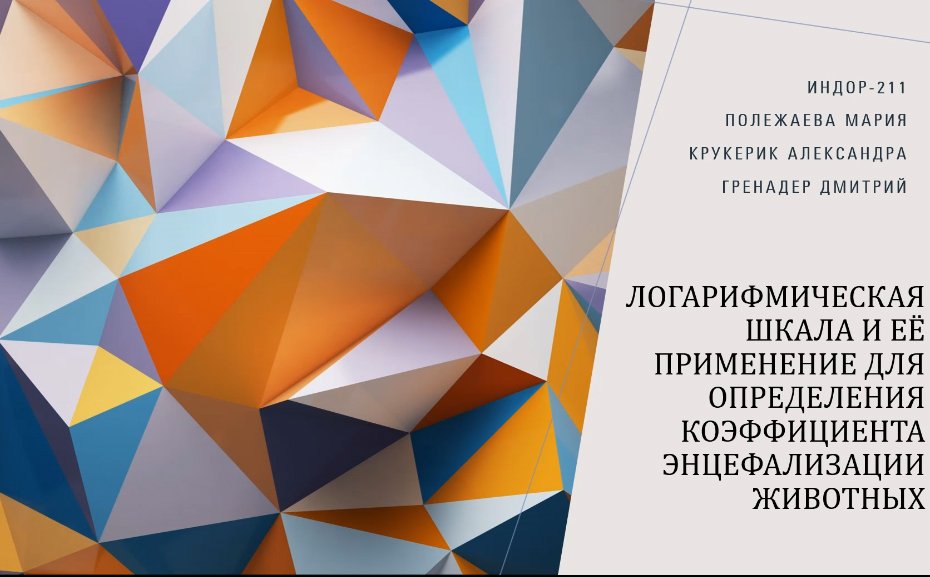 Логарифмическая шкала и коэффициент энцефализации