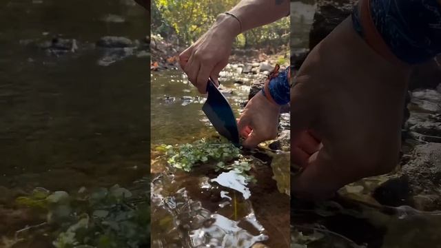 Doğada Taş Üzerinde Levrek Pişirme ? | Cooking Fish on The Rock in Nature ?