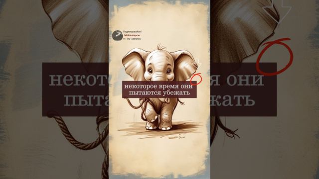 Притча о слоне | Интересная история