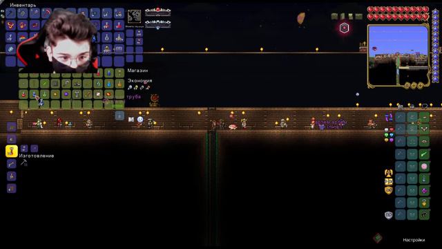 Стрим по Terraria Calamity coop, в гостях у Живого Анархиста №2