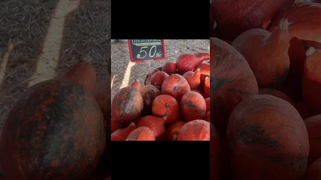 Царица полей