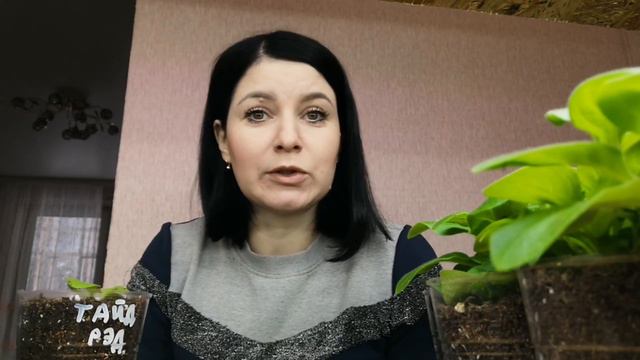 МОЛЧАТЬ НЕ БУДУ