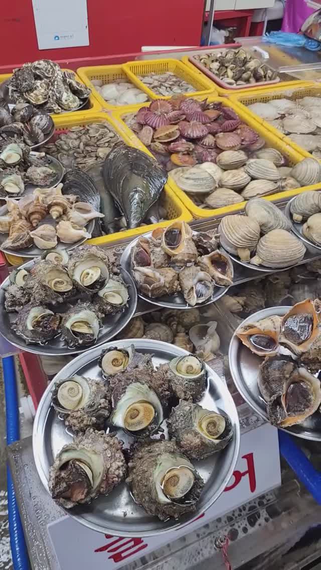 Пусан, рыбный рынок (short)