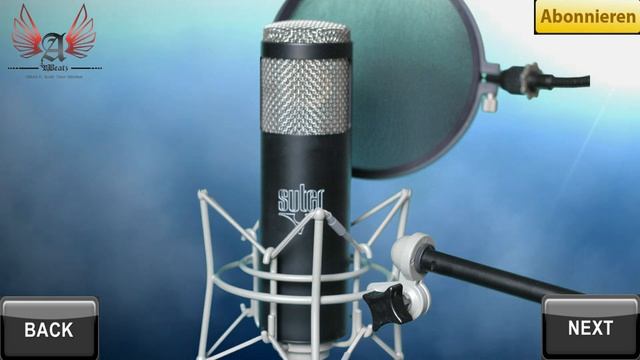 BESTE MIKROFON DER WELT? SUTER MODEL M MICROPHONE im Test, Review + Hörproben [2012] MIC
