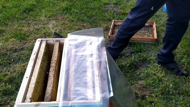 Заселяем новие улья. Отводки на 1 расплодную рамку.