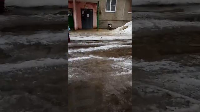 Весенние лужи ❤️|~