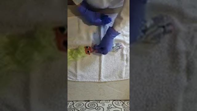 Измерение частоты дыхания