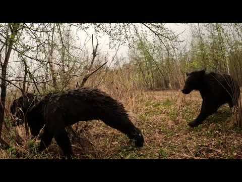 С Буржуем никто связываться не хочет.