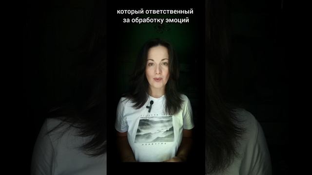 Важность объятий! Знали об этом?? #shorts