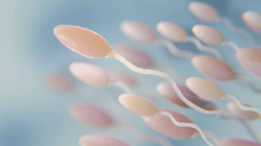 Названа причина ухудшения спермы у мужчин