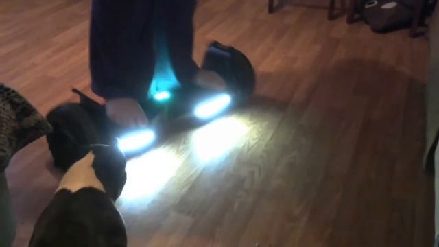 Best Ever Hoverboard! Halo Rover Hoverboard Review