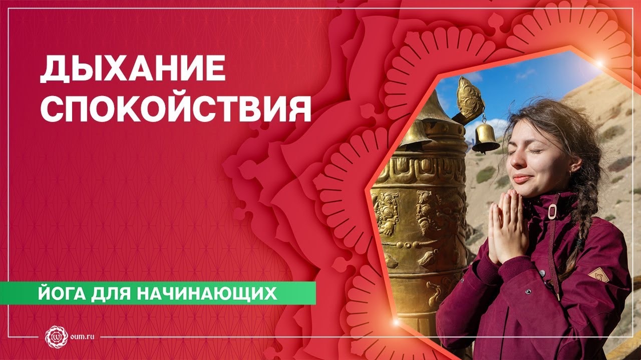 Йога для начинающих. Комплекс «Дыхание спокойствия». Алла Долгова