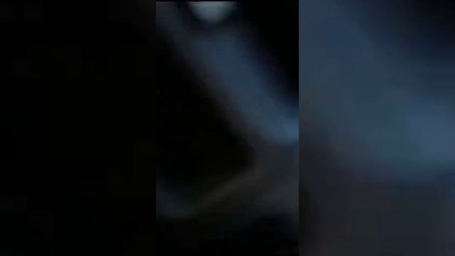 ВОТ ТАКОЙ ВОТ ЛОСЬЬЬ???????????