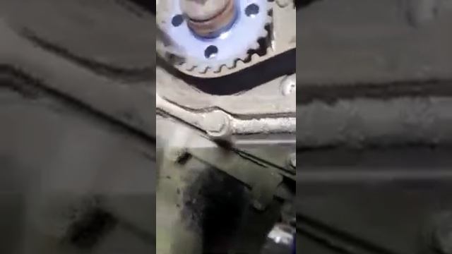 Про ГРМ Фиат ДукатоFiat Ducato - Близнецы.ком