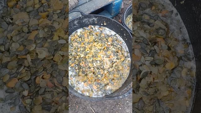 Сушка гарбуза на сонці