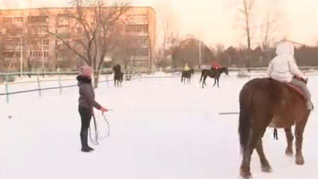Классная работа  Лошади
