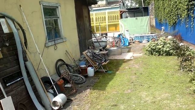 Гуси триммеруют газон. часть 3