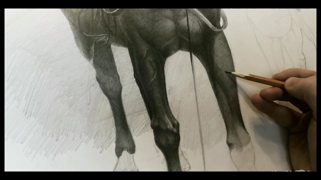 Рисунок лошади#50 часов работы в 5 минутах#
