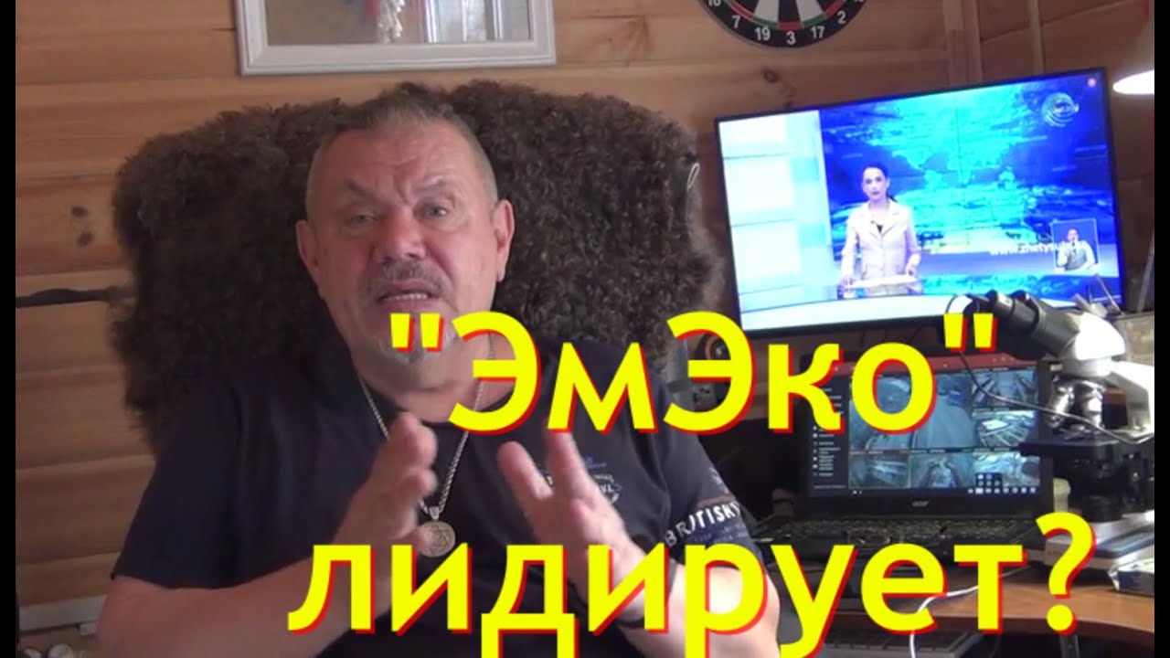 Отзывы об эмэко. ЭмЭко в новостях!