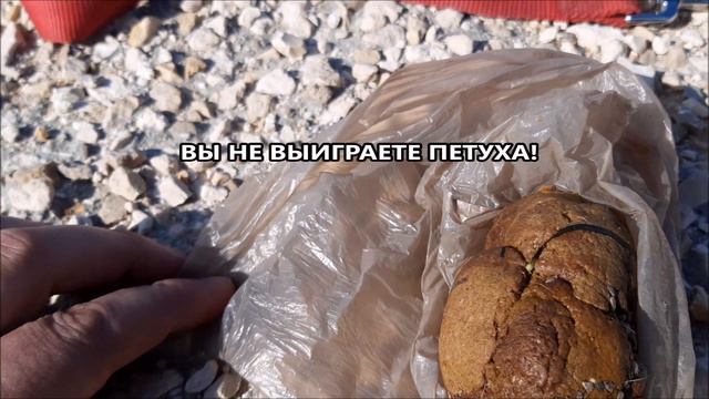 Зеленский на пляже