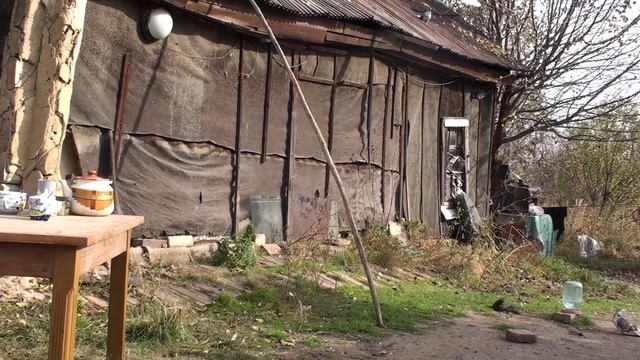 Голуби летают на 2 бала,боятся тренера в небе.22.10.19.