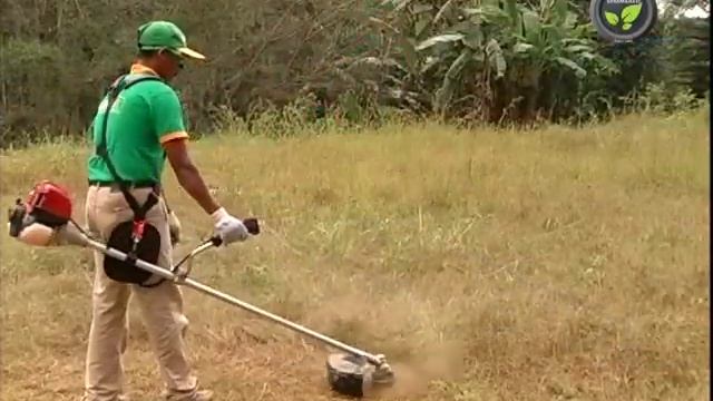 Weed Cutter or Power Weeder or Brush Cutter