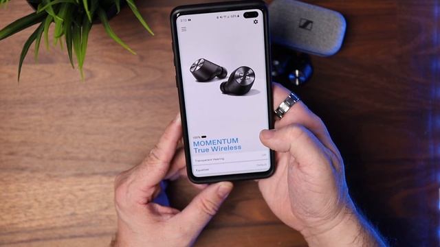 Jabra 75t vs Sennheiser Momentum vs Sony WF 1000XM3