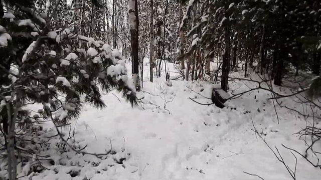 После первого снега