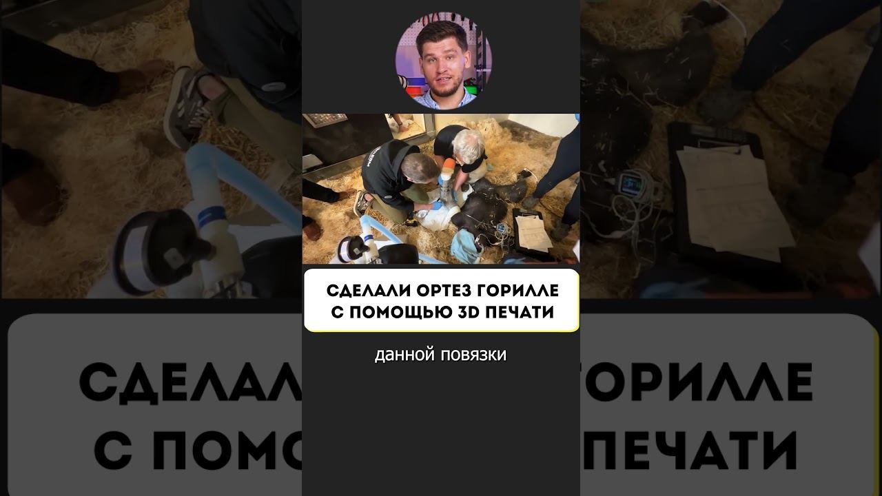 Сделали ортез горилле с помощью 3D-печати!