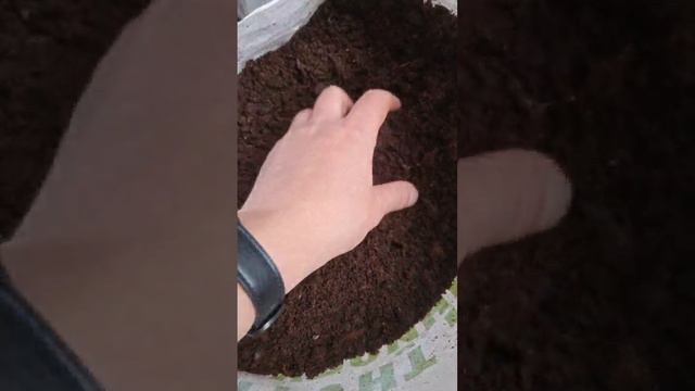ЗЕМЛЯ ПЛОДОРОДНАЯ ДЛЯ ХВОНЫХ