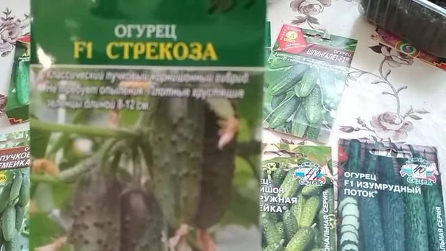 СЕМЕНА ОГУРЦОВ.СОРТА КОТОРЫЕ ПОСАЖУ В 2021 ГОДУ.???