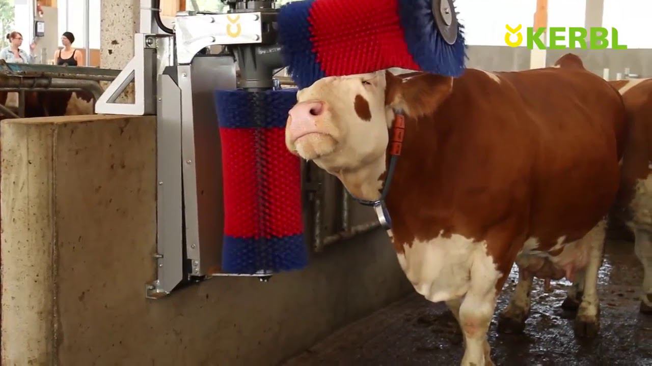 Cow Cleaning Machine HAPPYCOW Duo