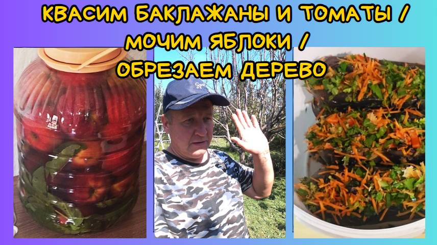 СУББОТНИЙ ВЛОГ: КВАШУ  ТОМАТЫ 🍅/ МАКСИМ ОБРЕЗАЕТ ЯБЛОНЬКУ/ МОЧУ ЯБЛОКИ/ КВАШУ БАКЛАЖАНЫ 🍆