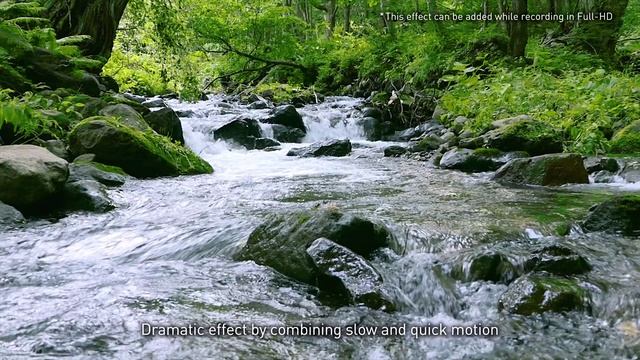 Introducing LUMIX FZ2000/FZ2500 Video Performance II