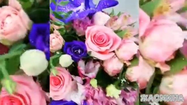 Сеть Цветочных Салонов ЖАСМИНА?