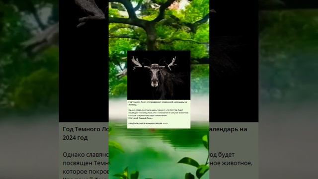 Год Темного Лося: что предрекает славянский календарь на 2024 год
