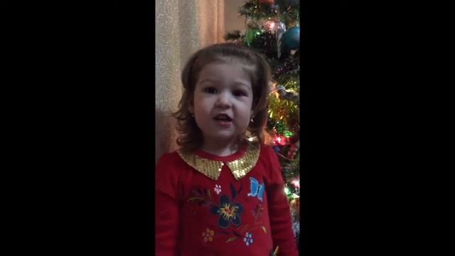 В лесу родилась ёлочка. Верунчик 26 г