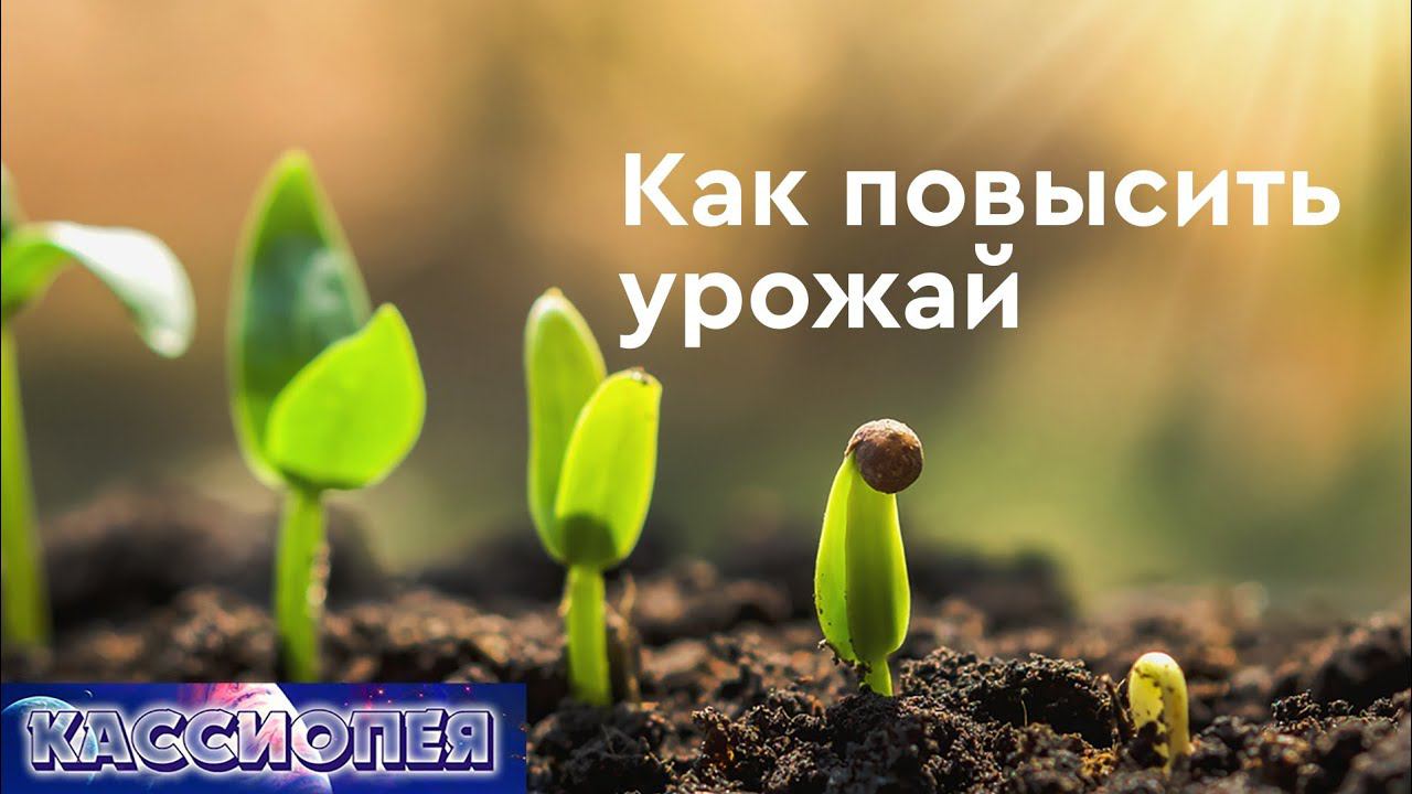 #101 Как повысить урожай. Советы инопланетян. Плодородие почвы, контакт с плазмоидами, энергия.