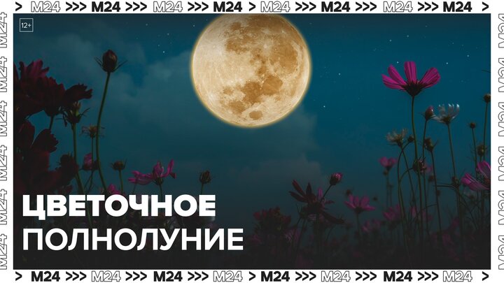 Цветочное полнолуние наблюдали москвичи в ночь на 24 мая - Москва 24