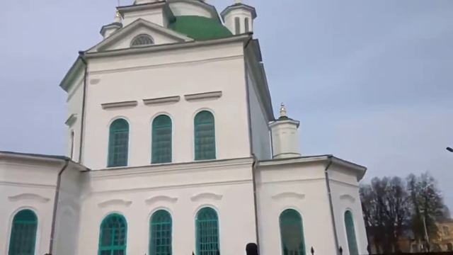Рассада . Или какие цветы я выращиваю для храма