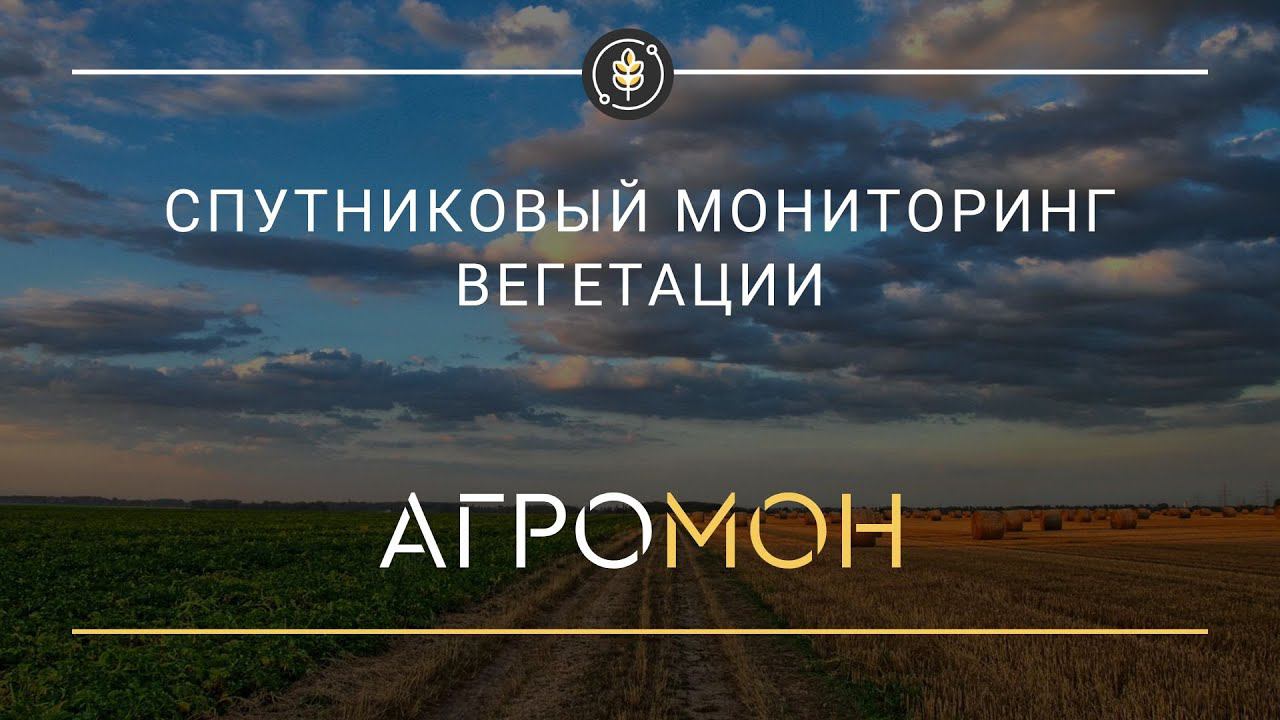 Спутниковый мониторинг (NDVI)