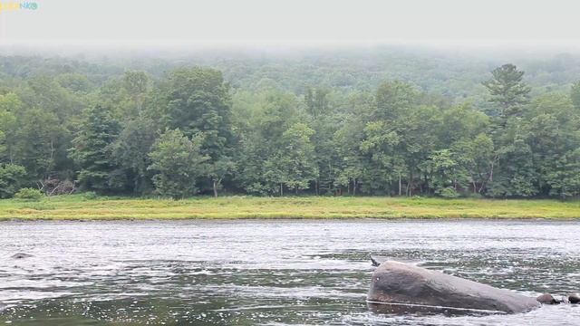 Music of deep sleep for children and the sound of the flowing river will put a child to sleep ?