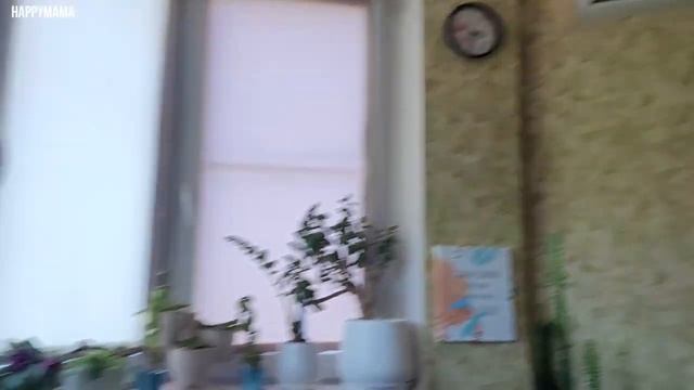 ?ДУМАЛА НАС ЭТО ОБОЙДЕТ СТОРОНОЙ. НОВАЯ СТРИЖКА КРИС. ЖАРА В МОСКВЕ.