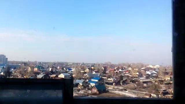 Беркут (Aquila chrysaetos) - подкормка на балконе!