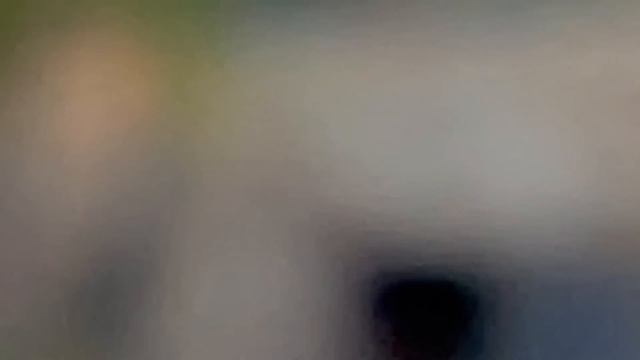 В клетке с тигрицей! Человек зашёл к тигрице посмотреть тигрят! Так может Олег Зубков! Тайган