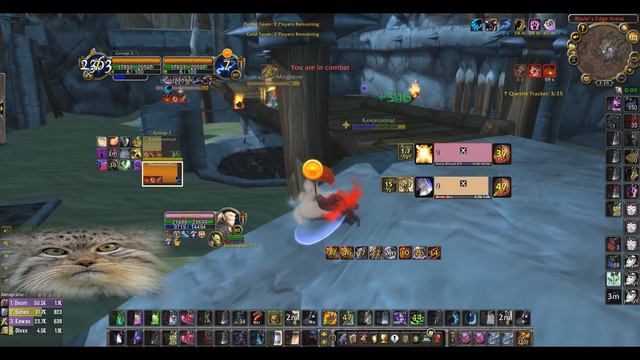 Balance druid + Rogue, 2k ding. Wow Wotlk 2v2 arena.