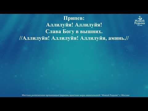 Слава, слава Богу в вышних, мир земле и благодать