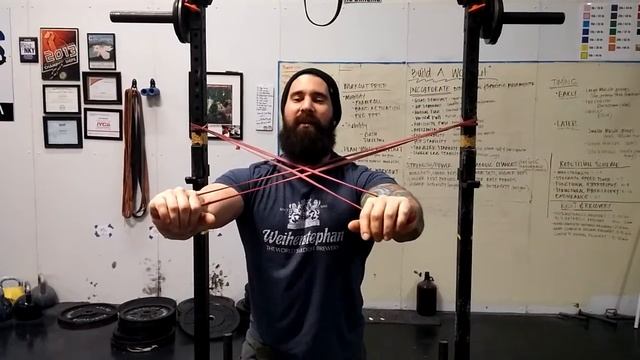 How To Build Killer Triceps with Modified Tate Press and Bands