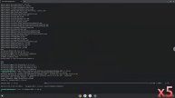 How to install DataGrip 2022 on a Chromebook